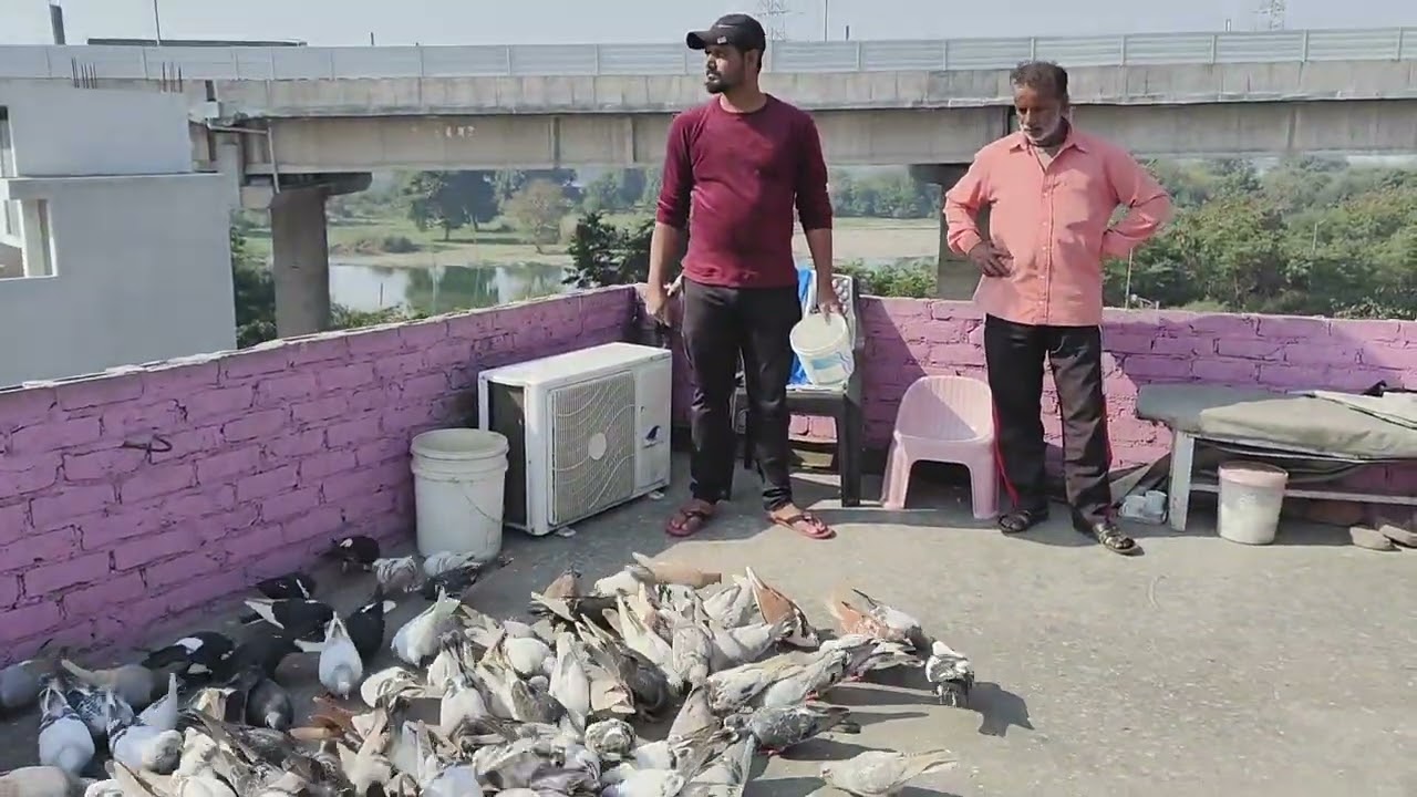 आज का शोक 