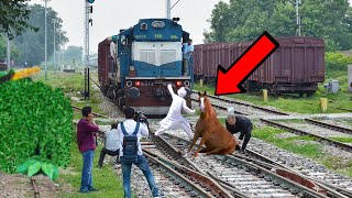لحظة انقاذ الحصان من امام القطار .. لحظات التقطت في الوقت المناسب