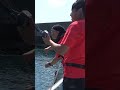 【獲物はアレ】根に潜ったヤツを引っこ抜きます #Shorts