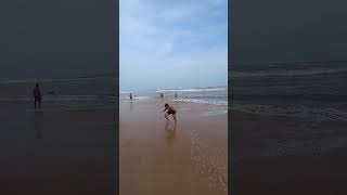 Public Relations girl's #army #flip #youtubeshorts #stunt #bottleflip