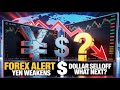 Iraqi Dinar 💰 Forex Alert 🚨💱 Yen Weakness, Dollar Sell-Off, and What Comes Next 💰