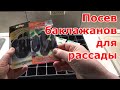 Посев баклажанов на рассаду. Выращивание крепкой и здоровой рассады баклажанов без пикировки