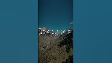 تلاوة مرتلة خاشعة لفضيلة الشيخ عبد الباسط عبد الصمد سورة البقرة آية الكرسي❤️🌸. #quran