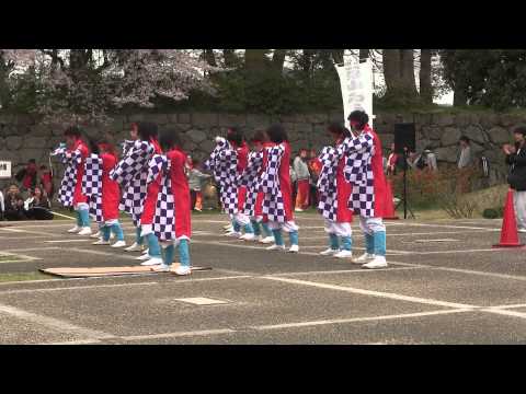 えぇもんひろめ隊　篠山さくらまつり2014－3