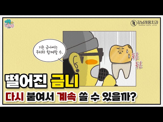 [냐폴레옹 치과 만화] 5화 - 금니가 빠졌다? 보철물이 떨어졌을 때 대처방법