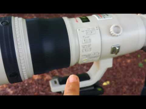 Canon EF 800mm F/5.6L IS USM Canon 1Dx $20,000.00