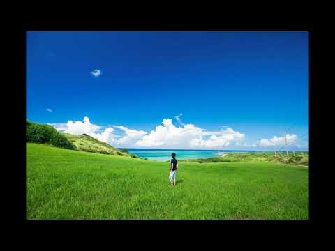 中島みゆきのあたいの夏休みを初音ミクで有名なボーカロイドのSachikoが小林幸子みたいに歌ってくれました。アレンジはその場の思いつきの適当ですが、自分でも気に入っているので最後まで聞いてください