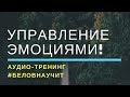 Управление Эмоциями. 100% - Практика. Аудио-тренинг #Беловнаучит