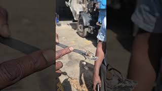 Is this a big ahhh brown recluse?