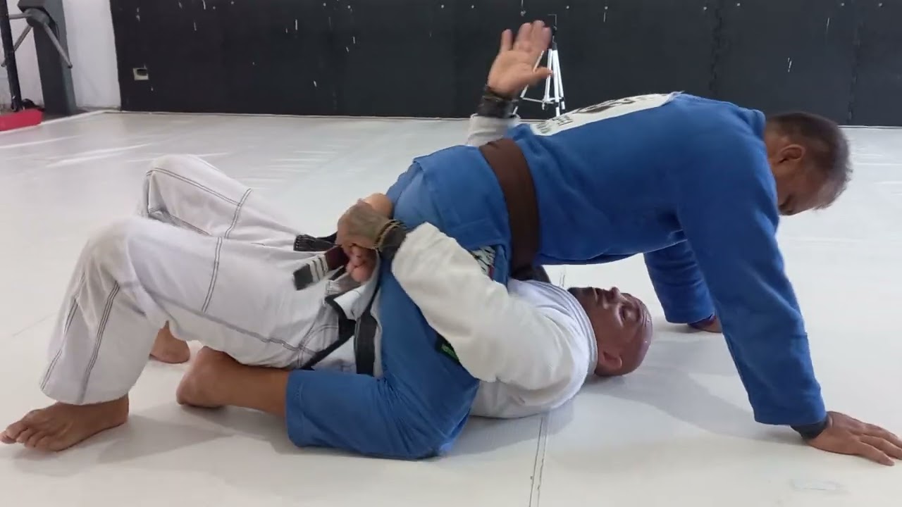 Saída técnica da montada