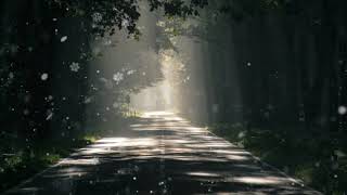Motivational sad music / and beautiful nature wallpaper / screenshot 5