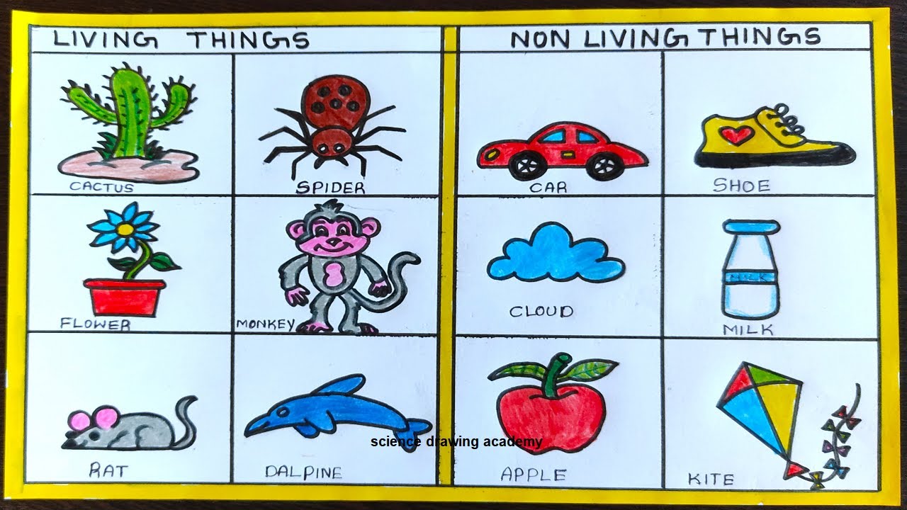 Living And Non Living Things Drawing In Simple And Easy Steps Diy Living And Non Living Things Drawing In Simple And Easy Steps Diy