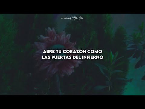 Mitski - Stay Soft || Traducida Al Español (+Video Oficial)