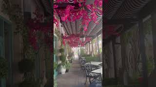 Great restaurant in Las Olas Fort Lauderdale #shorts #restaurant