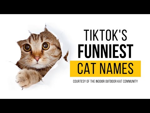 Wideo: Unique Pet Names: The Pop Culture Edition