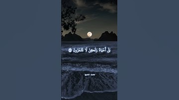 ﴿ يَا أَيُّهَا الَّذِينَ آَمَنُوا اسْتَعِينُوا بِالصَّبْرِ وَالصَّلَاةِ ﴾🎧💙🌿ما تيسر من سورة البقرة🤍🌿