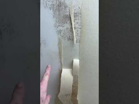 Video: How to glue wallpaper on concrete walls? Is it possible to glue wallpaper on a concrete wall?