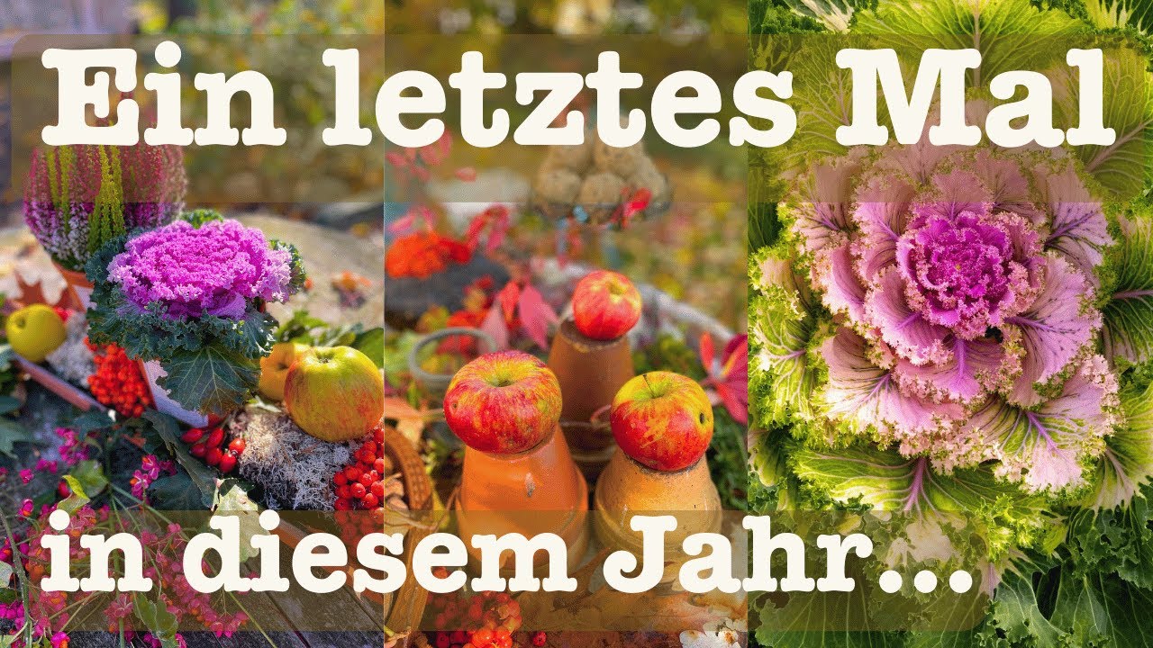 #106 🍂🥕Aussaaten Oktober 🥬 Die letzten Aussaaten im Freiland 🥦 Wintersteckzwiebeln stecken 🧅