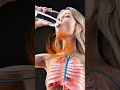 How to keep your kidney fit #life #love #holistichelp