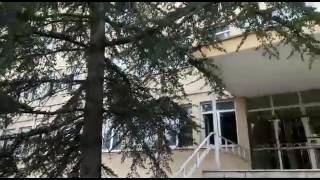 Deli Hastanesi Çok Korktuk