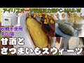【甘酒とサツマイモスイーツ編:ねっとり焼き芋越え】【アイリスオーヤマPC-MA2電気圧力鍋】の力恐るべし。。
