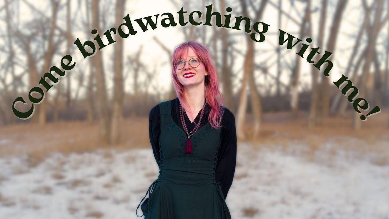 Cozy Winter Vlog | Birdwatching, Editing, and Channel Update!