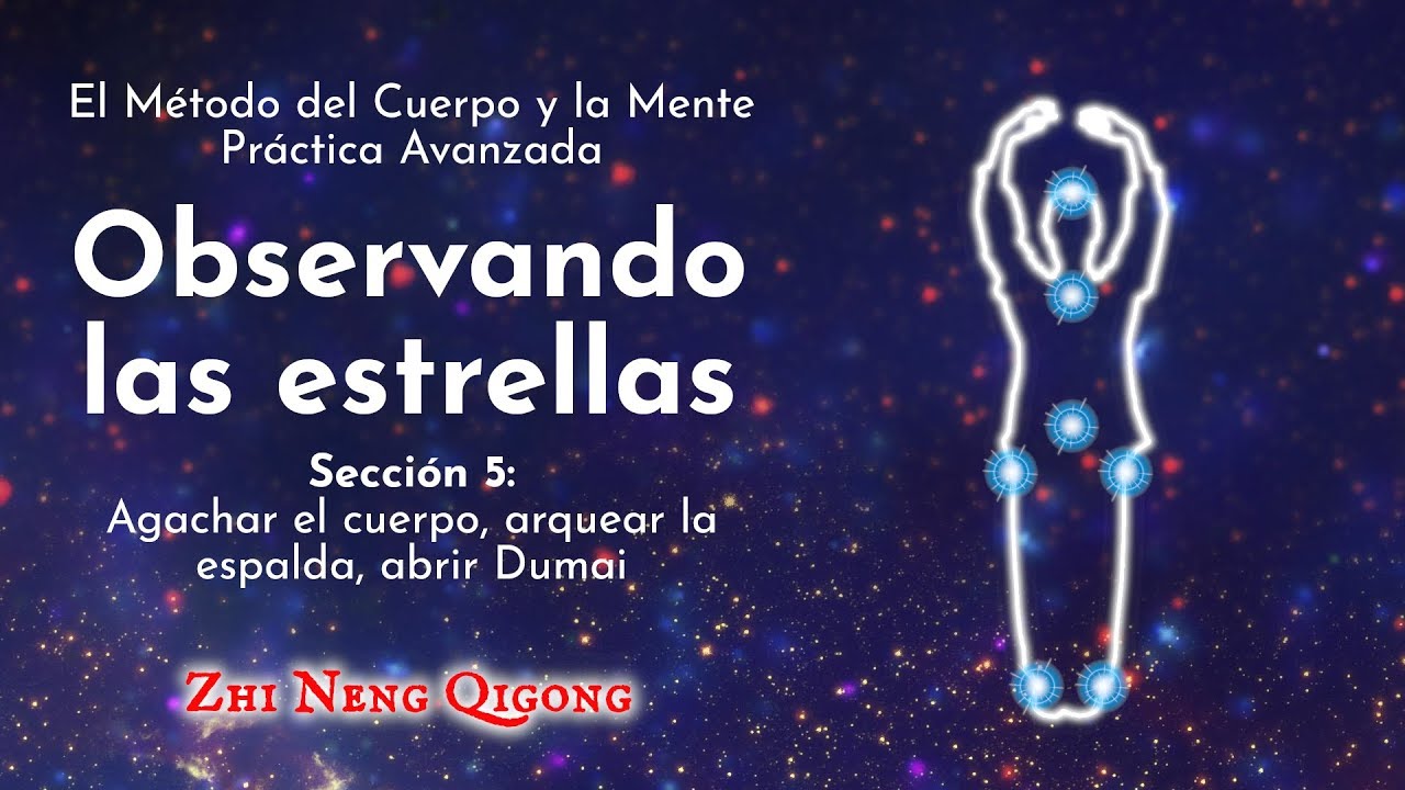 Observando las estrellas: Sección 5 qiyana