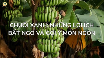 Chuối Xanh: Những Lợi Ích Bất Ngờ và Gợi Ý Món Ngon