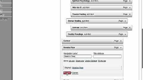 Wordpress - Menus and Widgets
