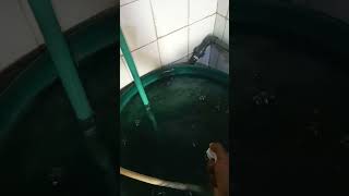 Front loader washing machine water issue, diaphragm pump with pressure switch, solved water problem