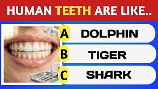 Can You Pass This Impossible General Knowledge Trivia Quiz? Only 1% Genius Can! 🧠🔥 (Quiz Challenge)
