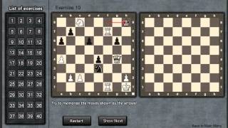 visualwize 2.0 - Train chess tactics and visual chess skills