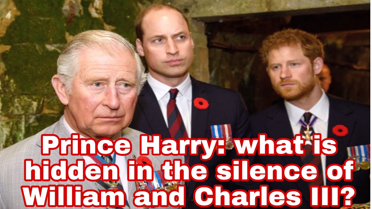 Prince Harry What Is Hidden In The Silence Of William And Charles III prince-harry-what-is-hidden-in-the-silence-of-william-and-charles-iii