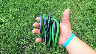 Laminating Two-Color Soft Plastic Fishing Lures for the First Time Using Dual Injector from Amazon screenshot 5