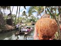 The polynesian cultural center in hawaii is amazing  canoe ride  island tour  drinking coconuts