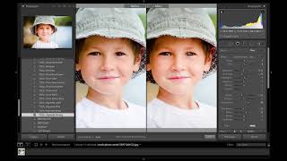 Luxe Portraits Presets for Lightroom & Photoshop ACR screenshot 2