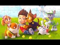 Щенячий патруль - Райдер играет с щенками - Собираем пазлы для детей Paw Patrol | Merry Nika