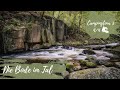 Langzeitbelichtungen im dichten Bodetal 🌳 #HARZ - Campingtour 5 - Folge 4/4