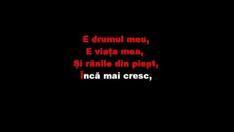 E DRUMUL MEU KARAOKE