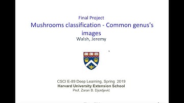 Mushroom Classification via Deep Learning