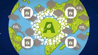 Yara Green Ammonia