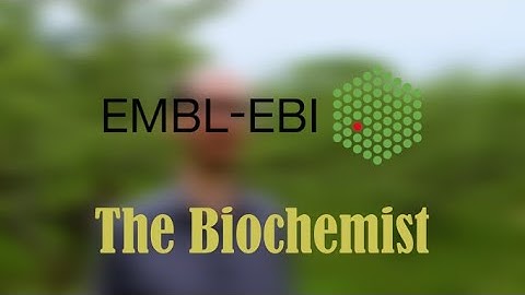 Scider: the science of cider explained through biochemistry