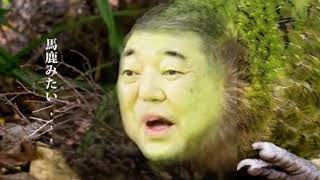 Ishiva Damedane だめだね だめよ だめなのよ ばかみたい