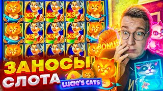 Лучшие Заносы Слота Lucies Cats! Лорд Заносит Мега Заносы В Новом Слоте! #заносыотх1000 #заносы