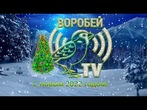 Новый год 2022 - большая новогодняя трансляция