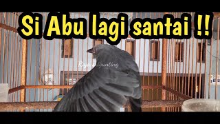 SRIGUNTING NGERIWIK TERUS  !!