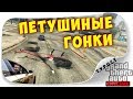 ТОЛЬКО ПЕТУШИНЫЙ СУДЬЯ СМОЖЕТ ОЦЕНИТЬ ЭТИ ПЕТУШИНЫЕ ПОСТУПКИ... ГОНКИ ГТА 5