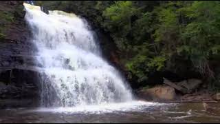 Nature View Relaxing Nature Waterfall Video  Vj loop  Led wall graphics 4k  dj led wall background 3