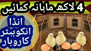 Small Home Hatchery Incubator Business - Home Based Hatchery Business Idea to Earn Money Urdu Hindi