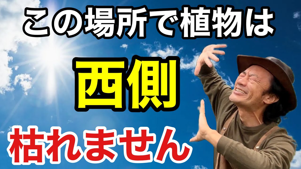 I didn't know] Actually, to grow western plants, you need to do